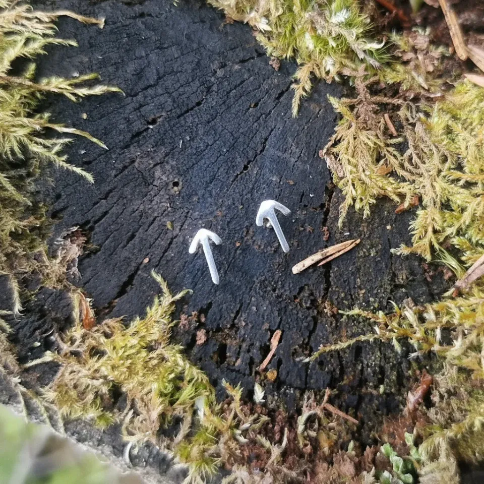 Kunstnerbonden Tiwaz ørestift sølv rune