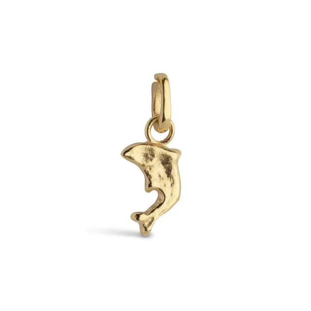 Enamel Joyful Dolphin charm 12 mm gull
