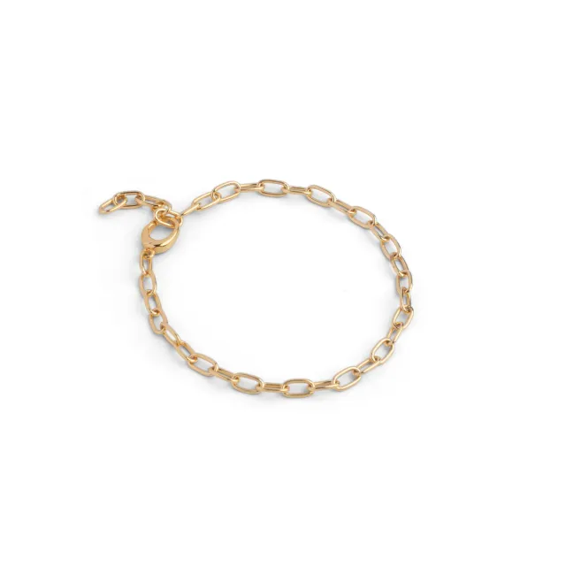 Enamel Medium Charm armbånd 19 cm forgylt sølv