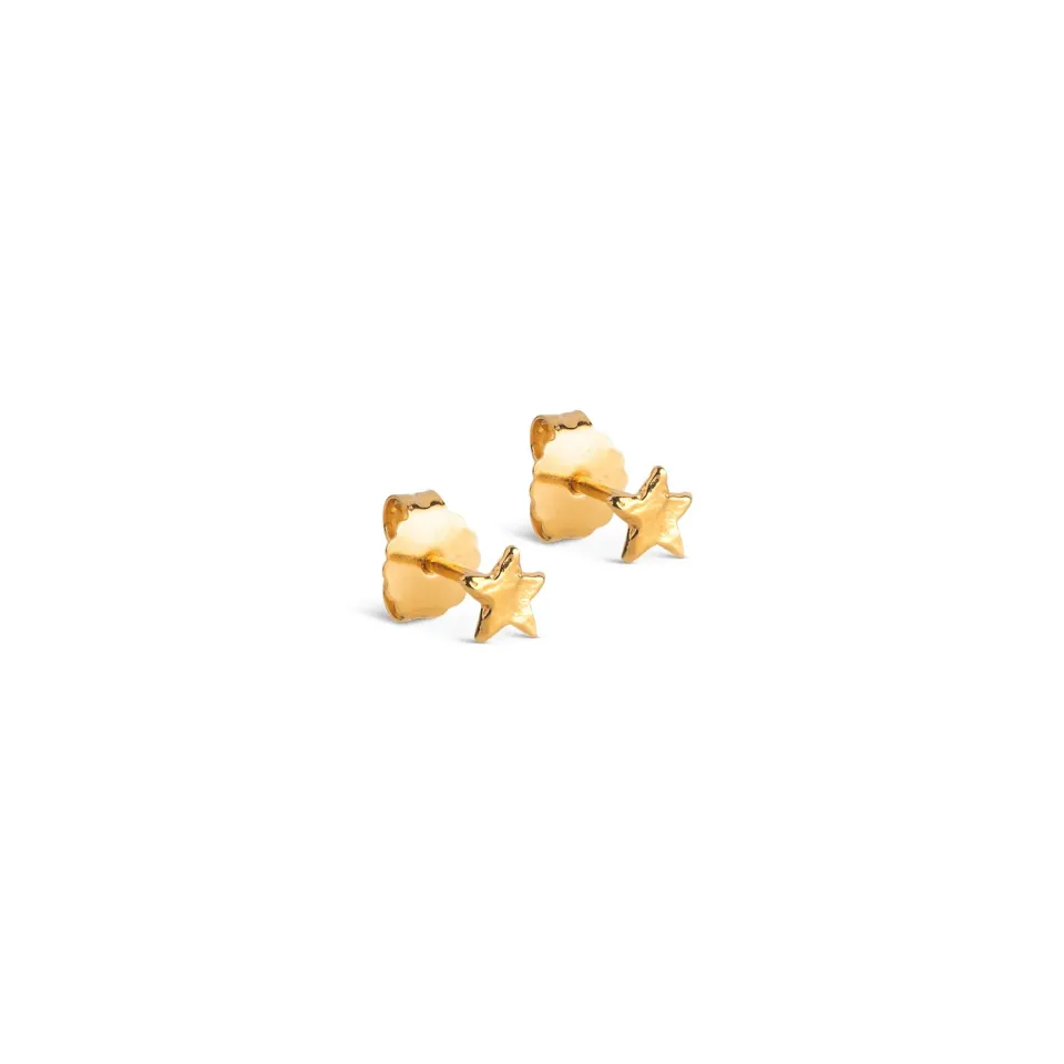 Enamel Star Energy studs gull 5 mm