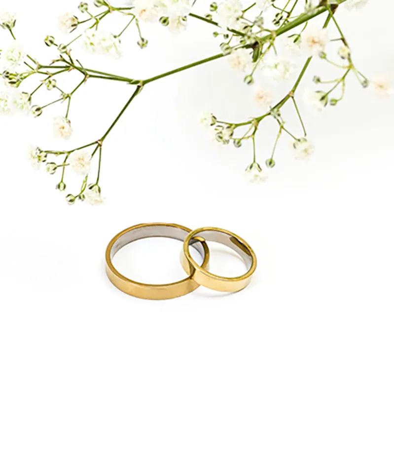 Blomdahl Plain Ring ring gullfarget 18 mm titan