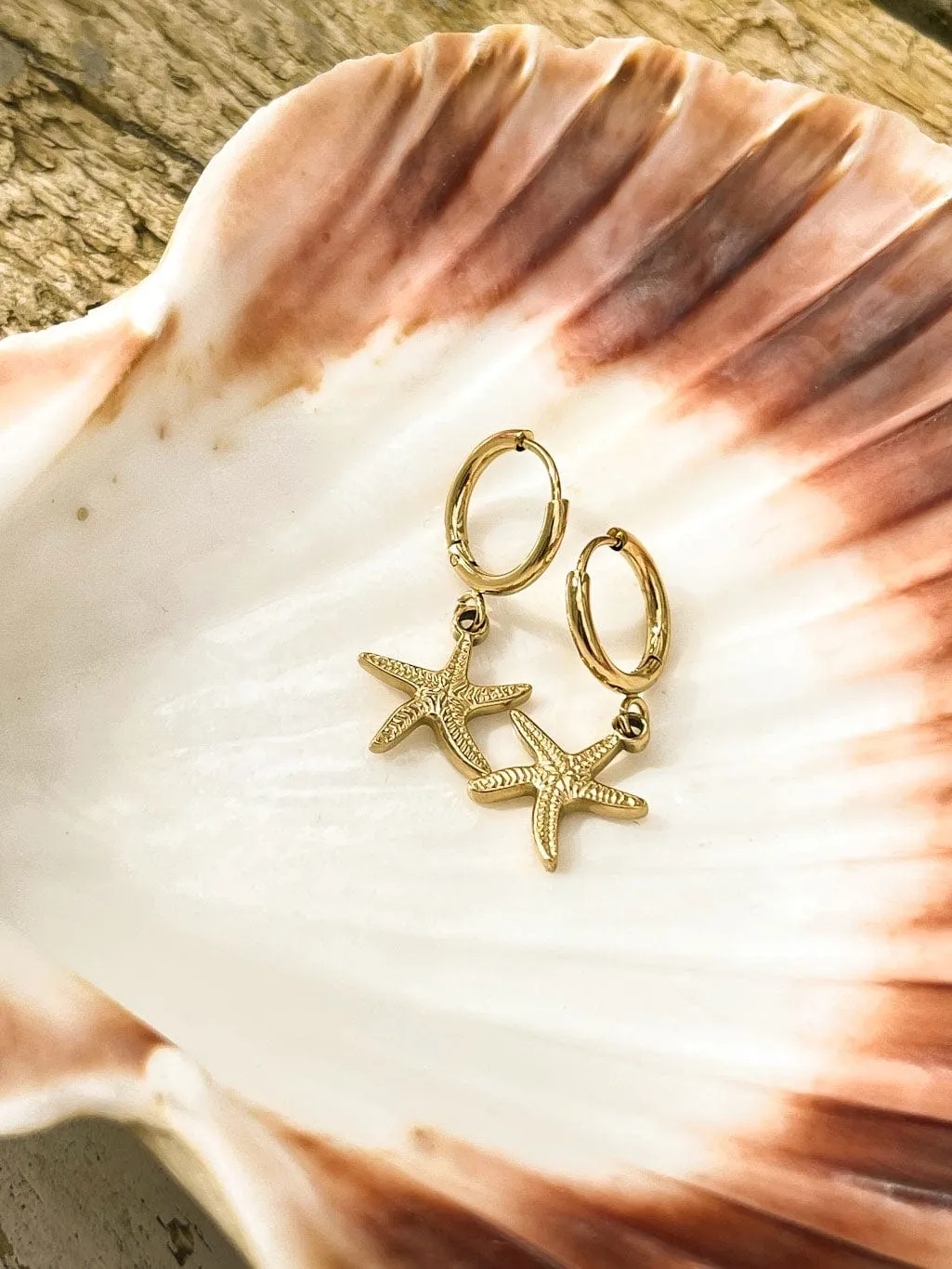 Mea Nani Starfish øredobber sjøstjerne 14K gull