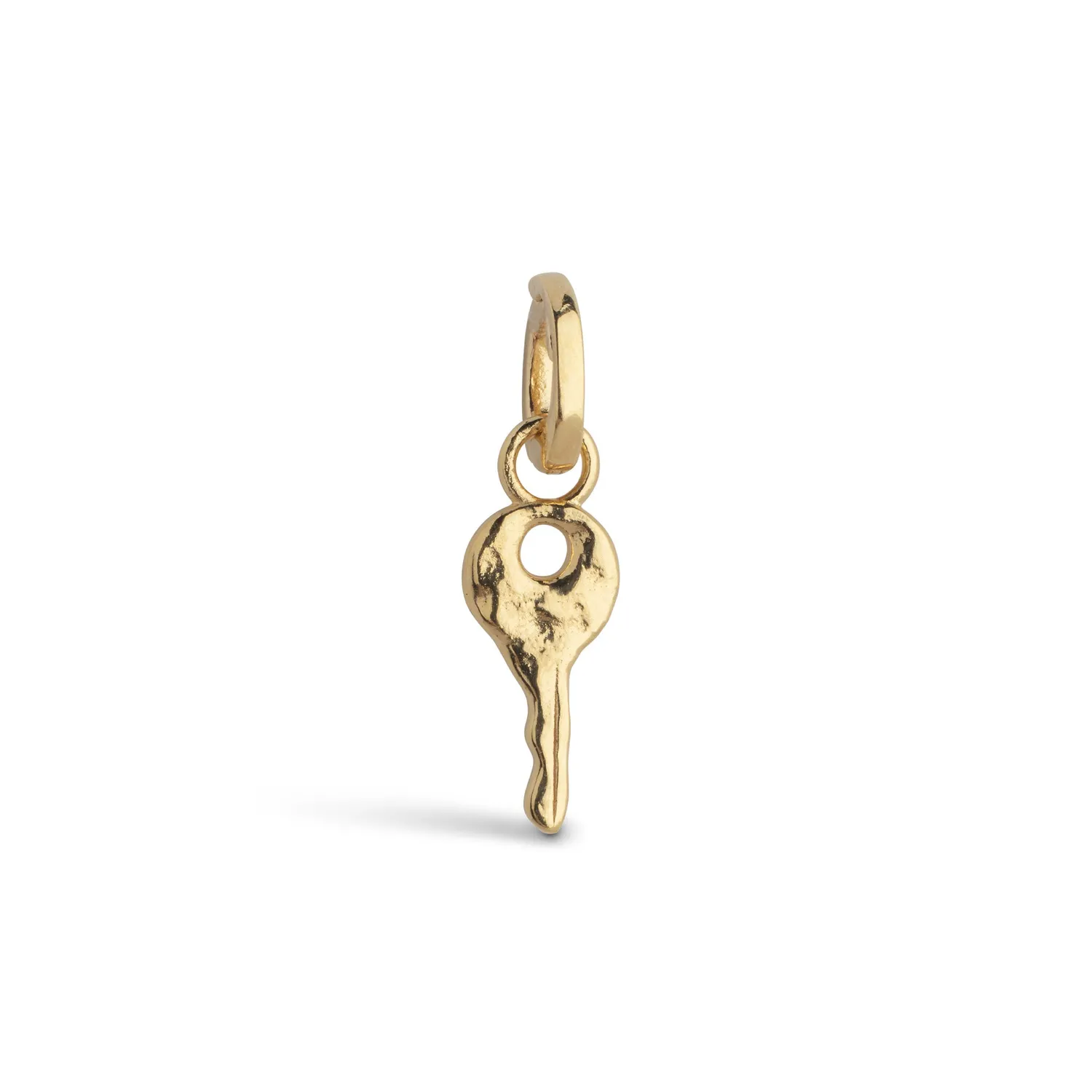 Enamel Magic Key charm 11 mm gull