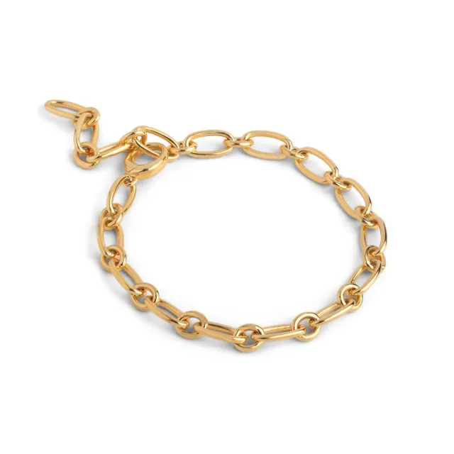 Enamel Chunky Charm armbånd 20 cm gull