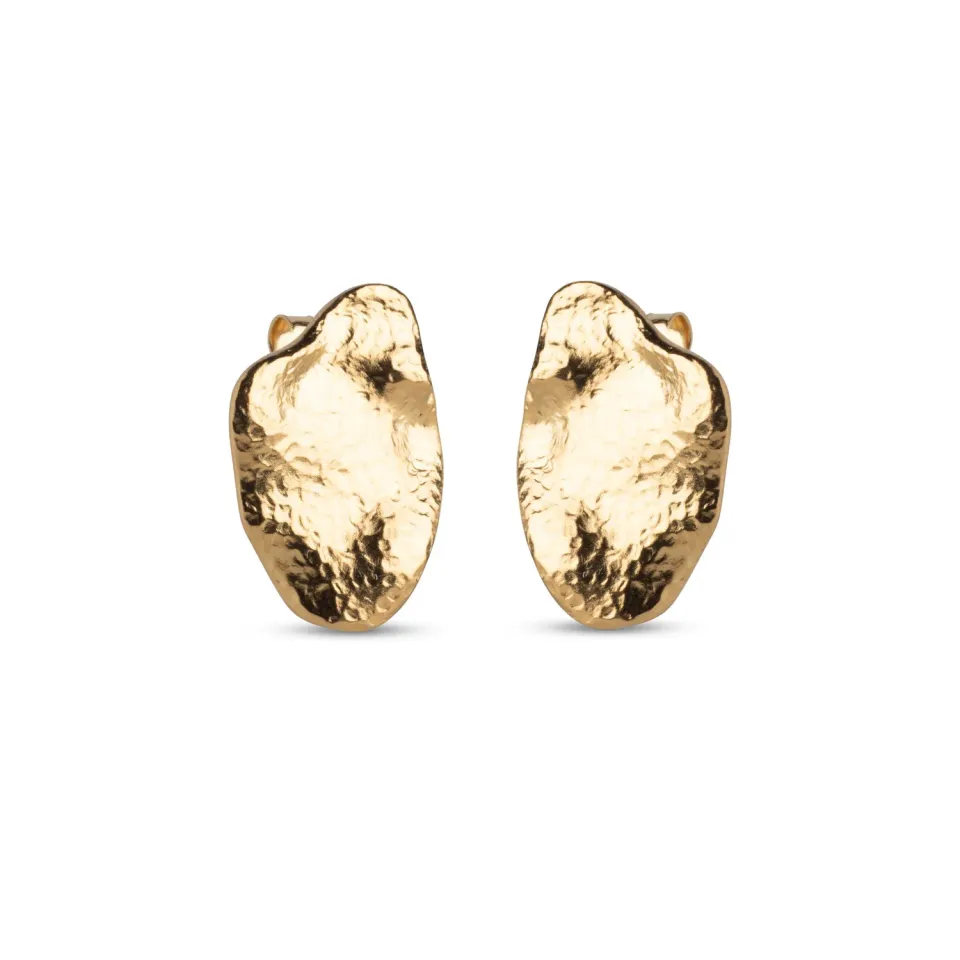 Enamel Maia Large studs gull 20x14 mm par