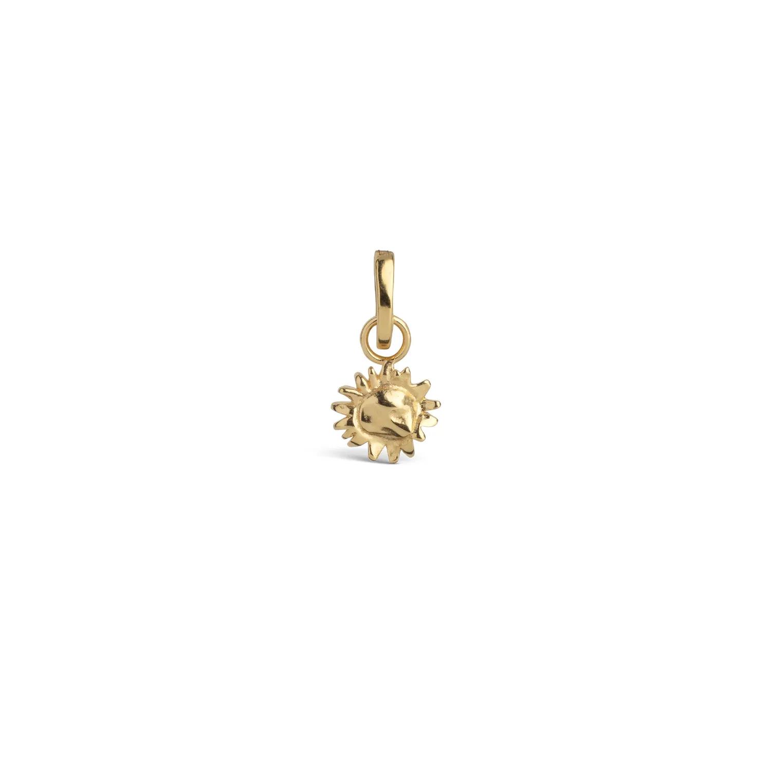 Enamel Charm Sunny Sunshine anheng 8 mm gull