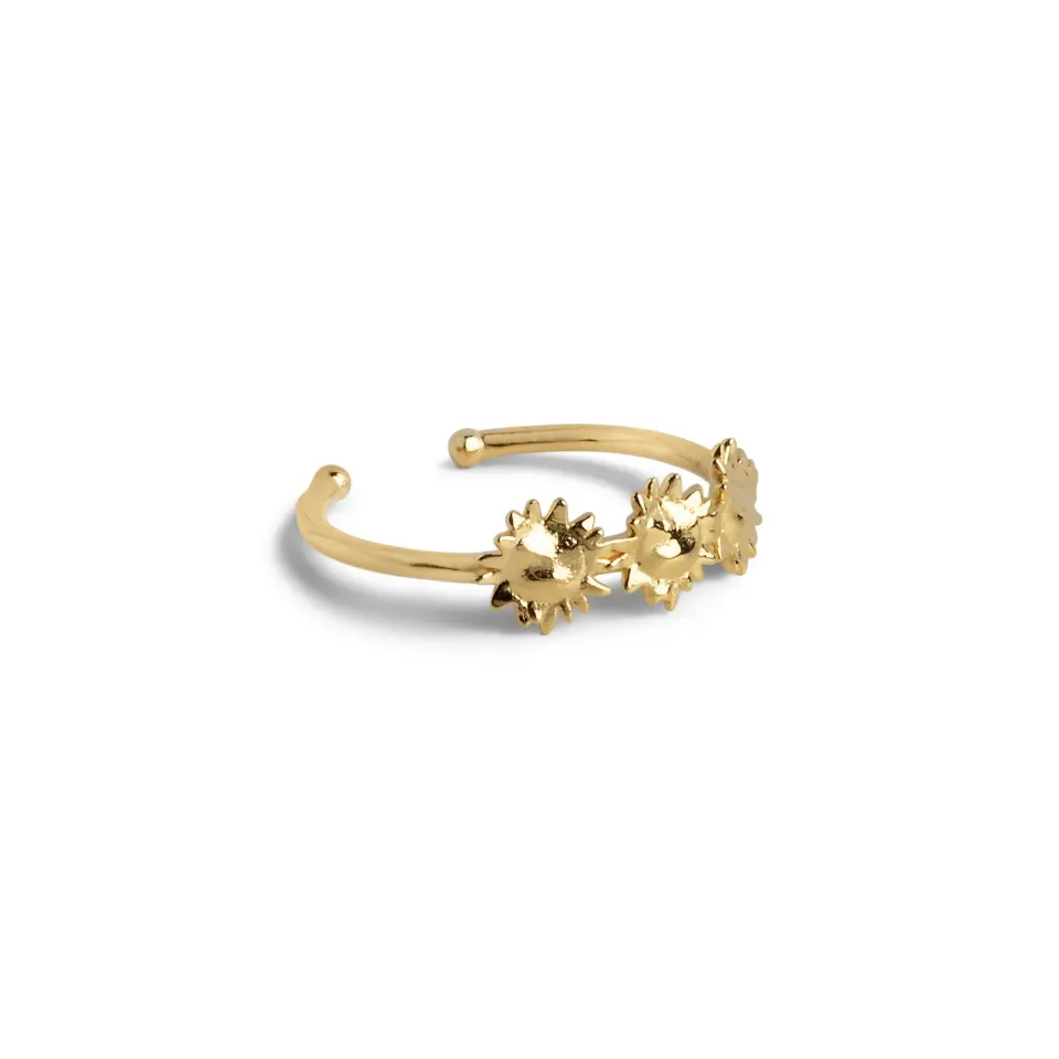 Enamel Sunshine Wreath ring forgylt 48-52