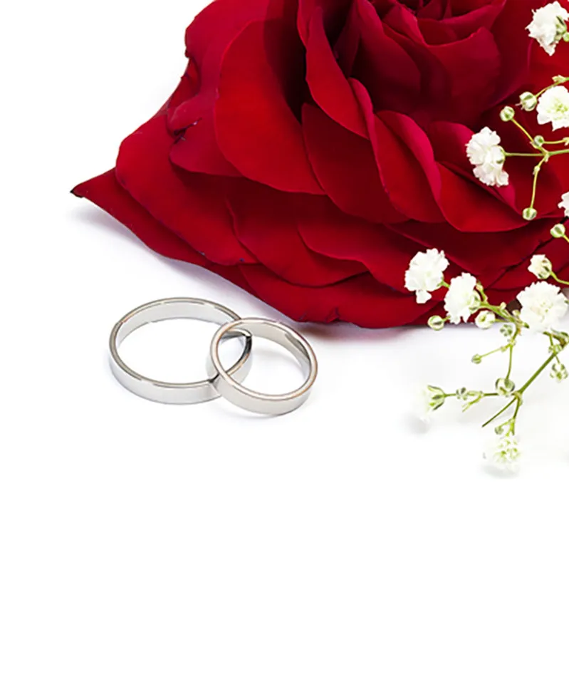 Blomdahl Plain ring titan glatt hudvennlig