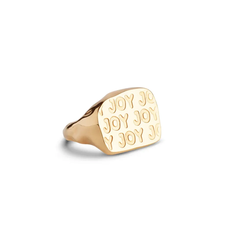Enamel Joy Statement ring gull gravert
